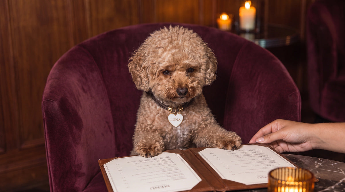 This is what loving a dog truly looks like.