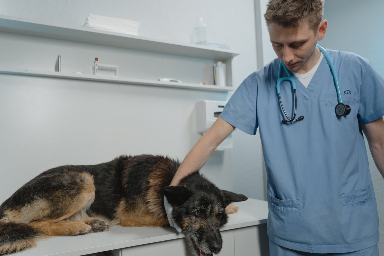 New Guidelines for Animal Blood Transfusions in India