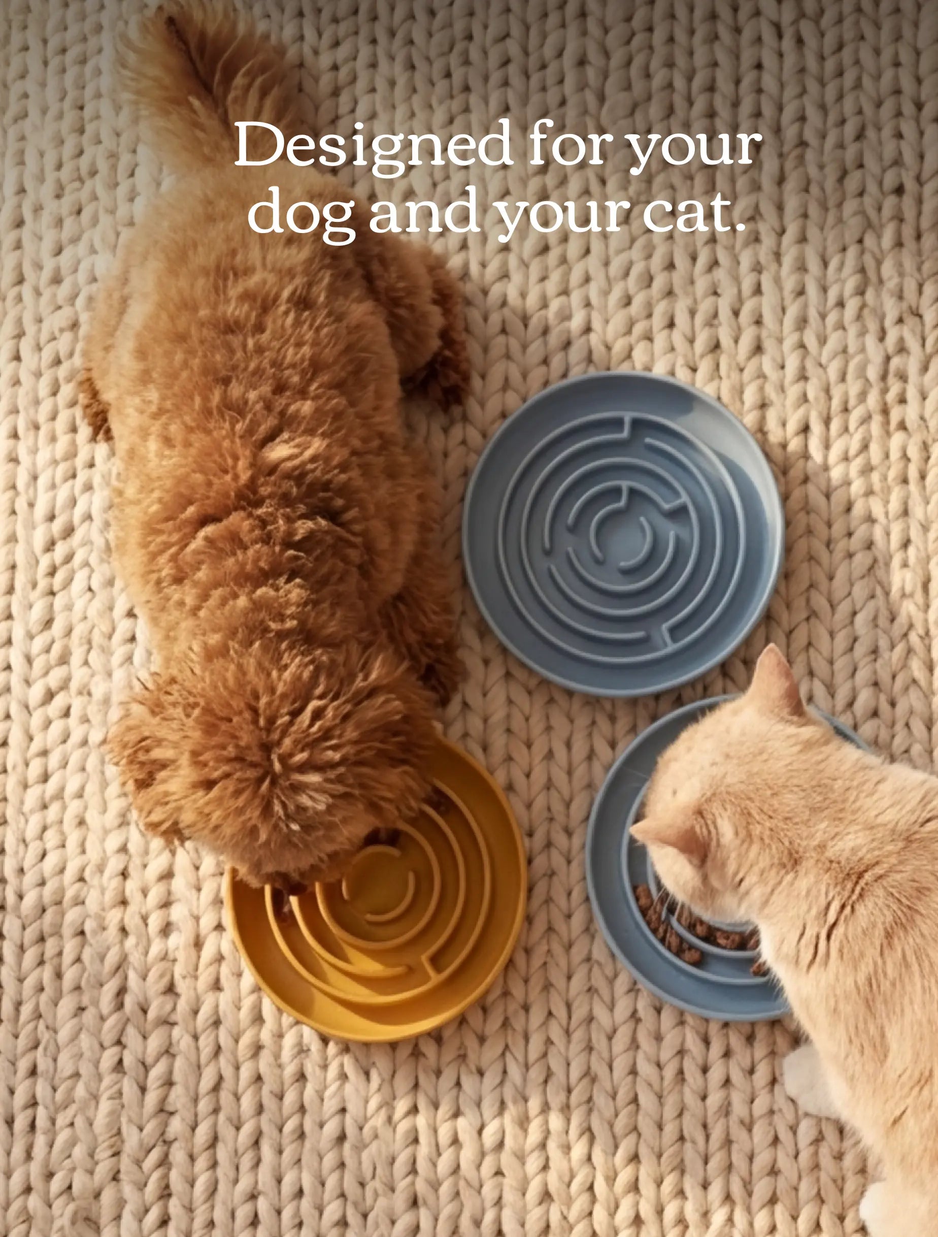 Dog and cat using slow feeders on a textured surface with text 'Designed for your dog and your cat'.