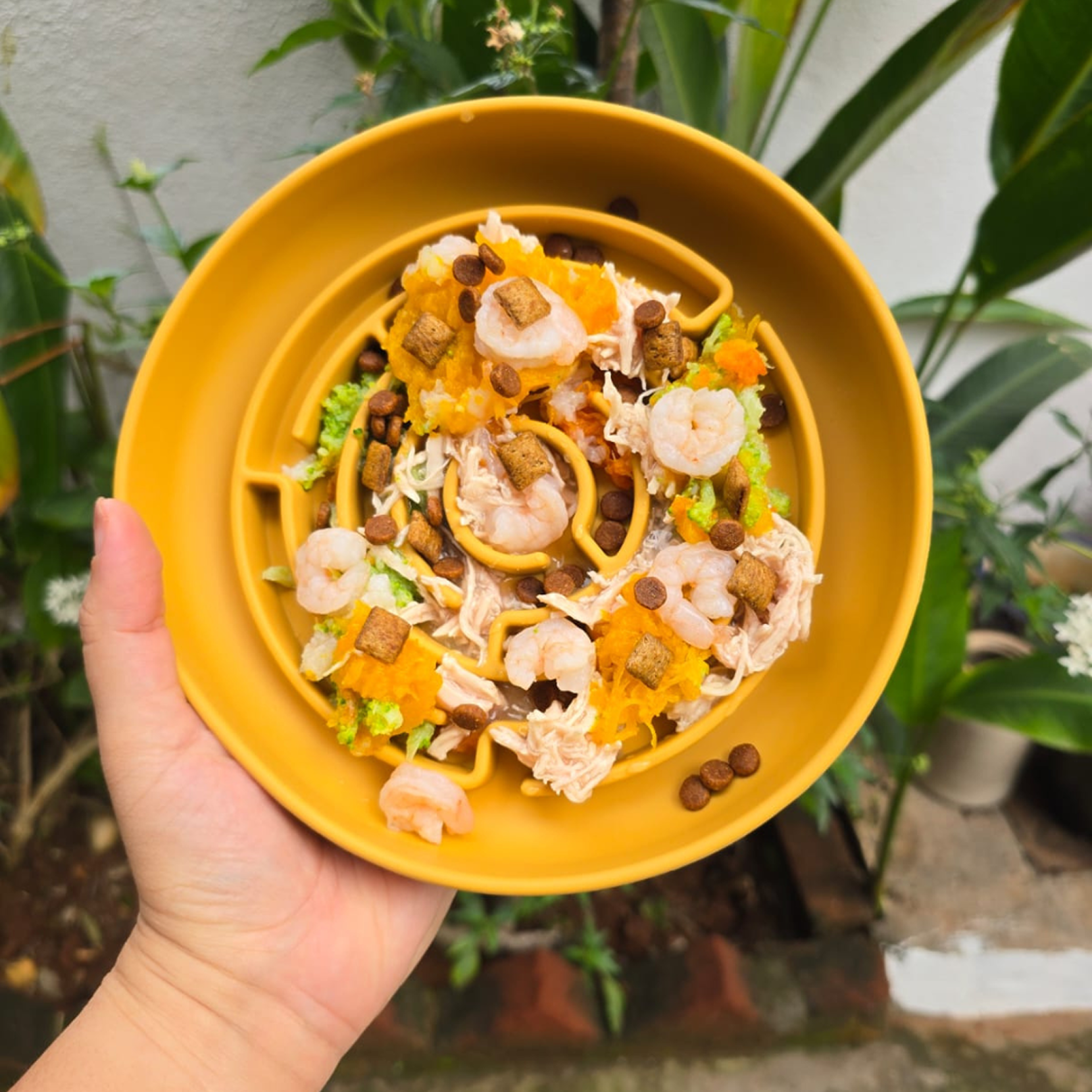 No Rush Bowl™ - Slow Feeder for Healthy Digestion