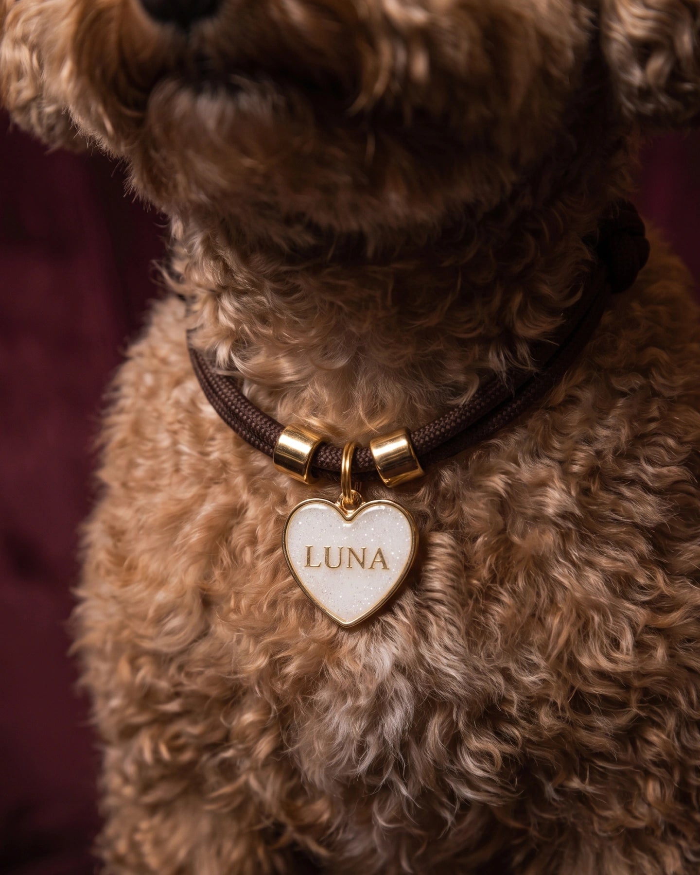Dear Dog - Personalised Dog Collar