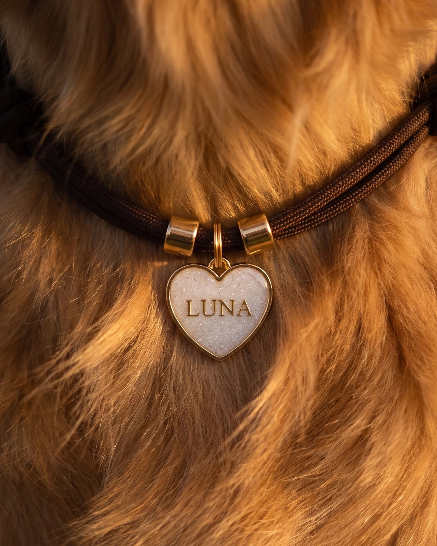 Dear Dog - Personalised Dog Collar