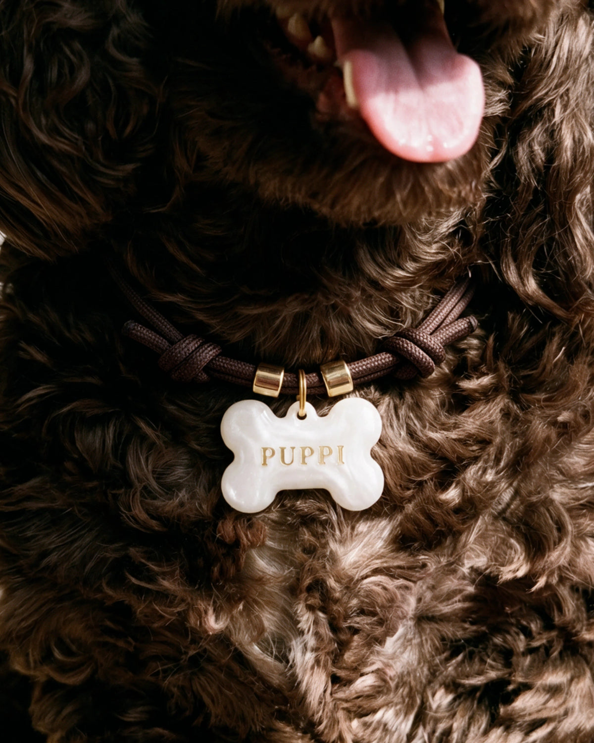 The Classic - Personalised Dog Collar