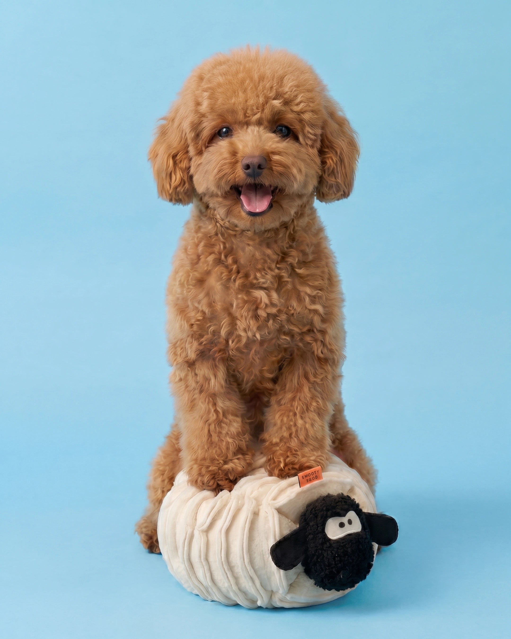 The Dog Mom Bundle - Sir Woolly Chonk, No Rush Bowl & Dog Mom Clip