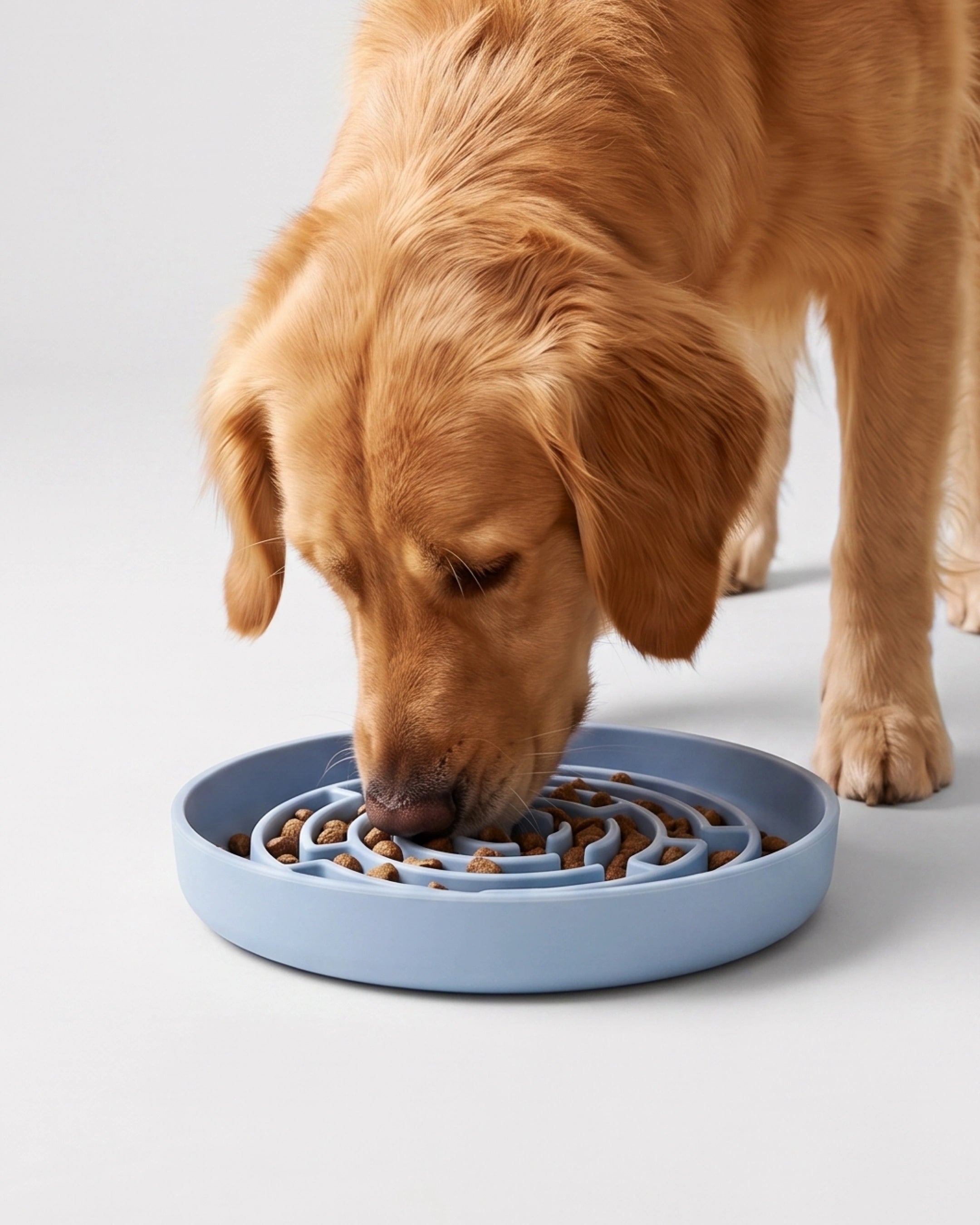 No Rush Bowl - Pet Slow Feeder