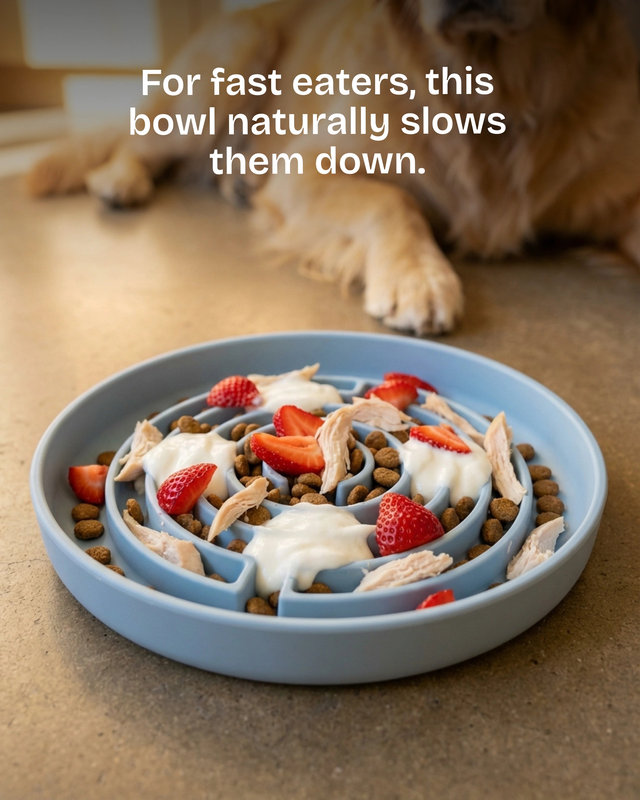 No Rush Bowl - Pet Slow Feeder