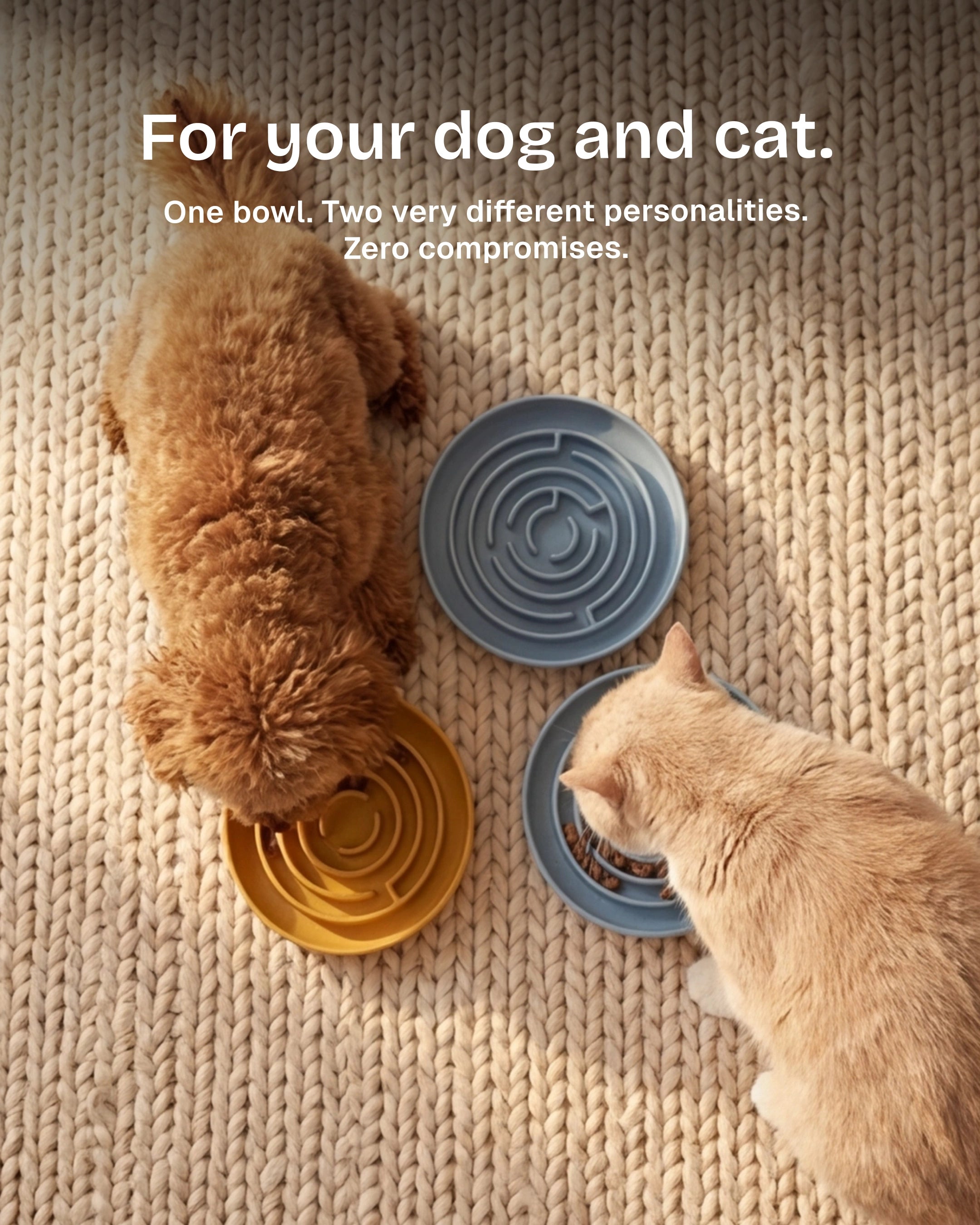 No Rush Bowl - Pet Slow Feeder