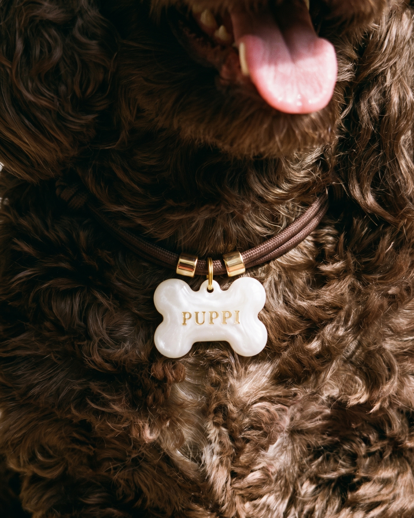 The Classic - Personalised Dog Collar