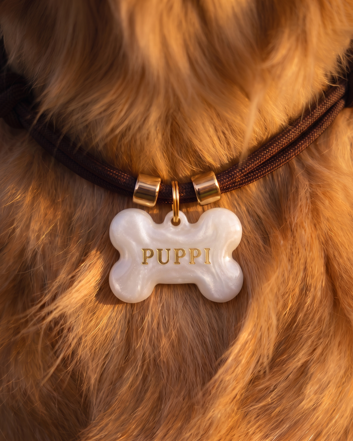 The Classic - Personalised Dog Collar