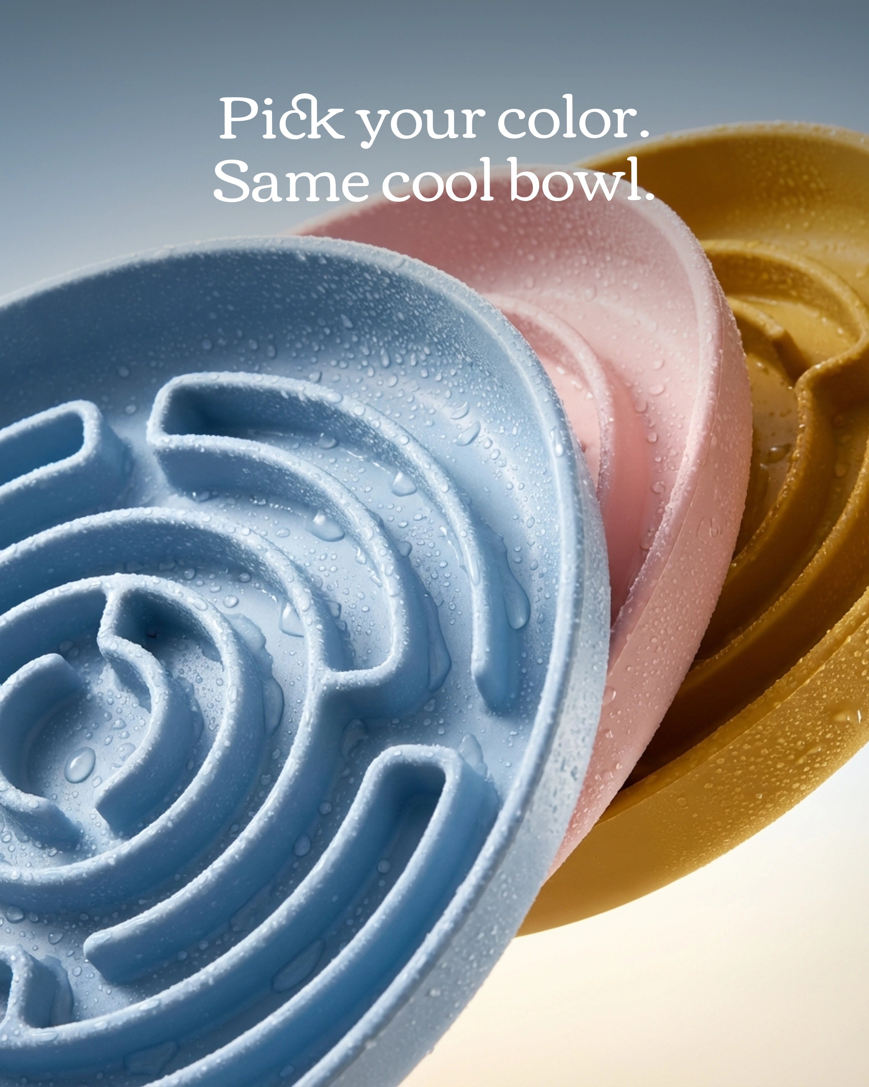 No Rush Bowl - Slow Feeder Bowl for Dogs & Cats