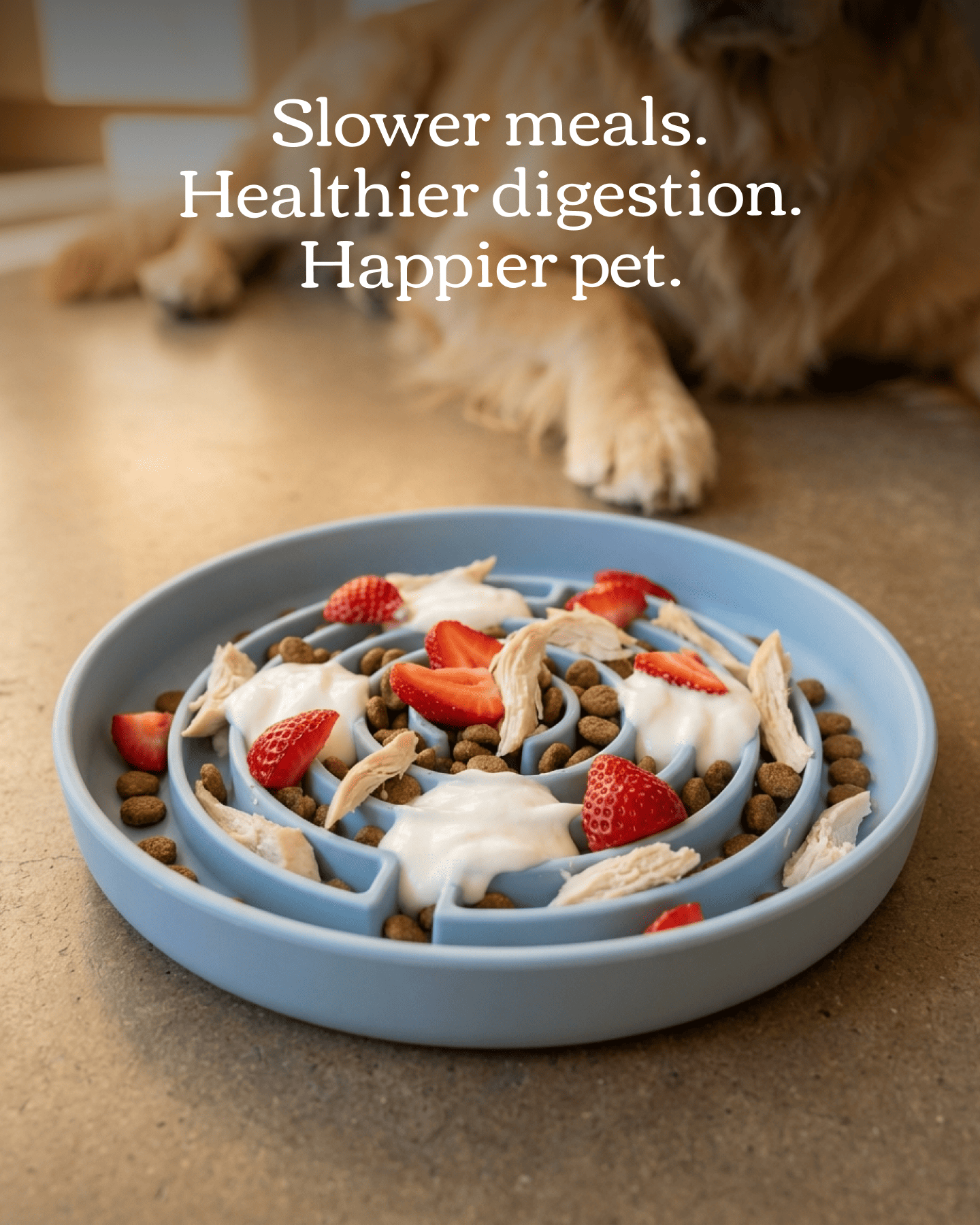 No Rush Bowl - Pet Slow Feeder