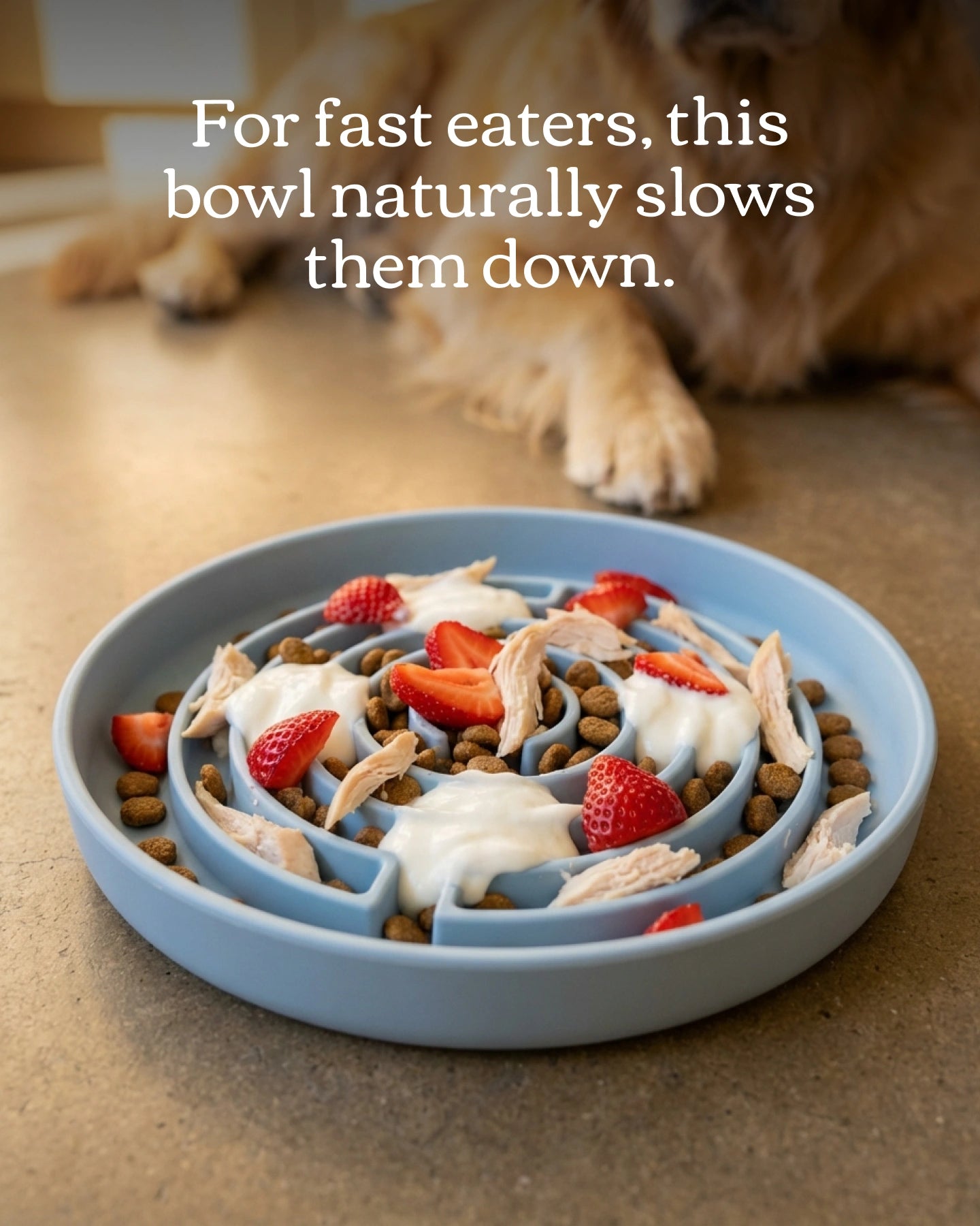 No Rush Bowl - Pet Slow Feeder