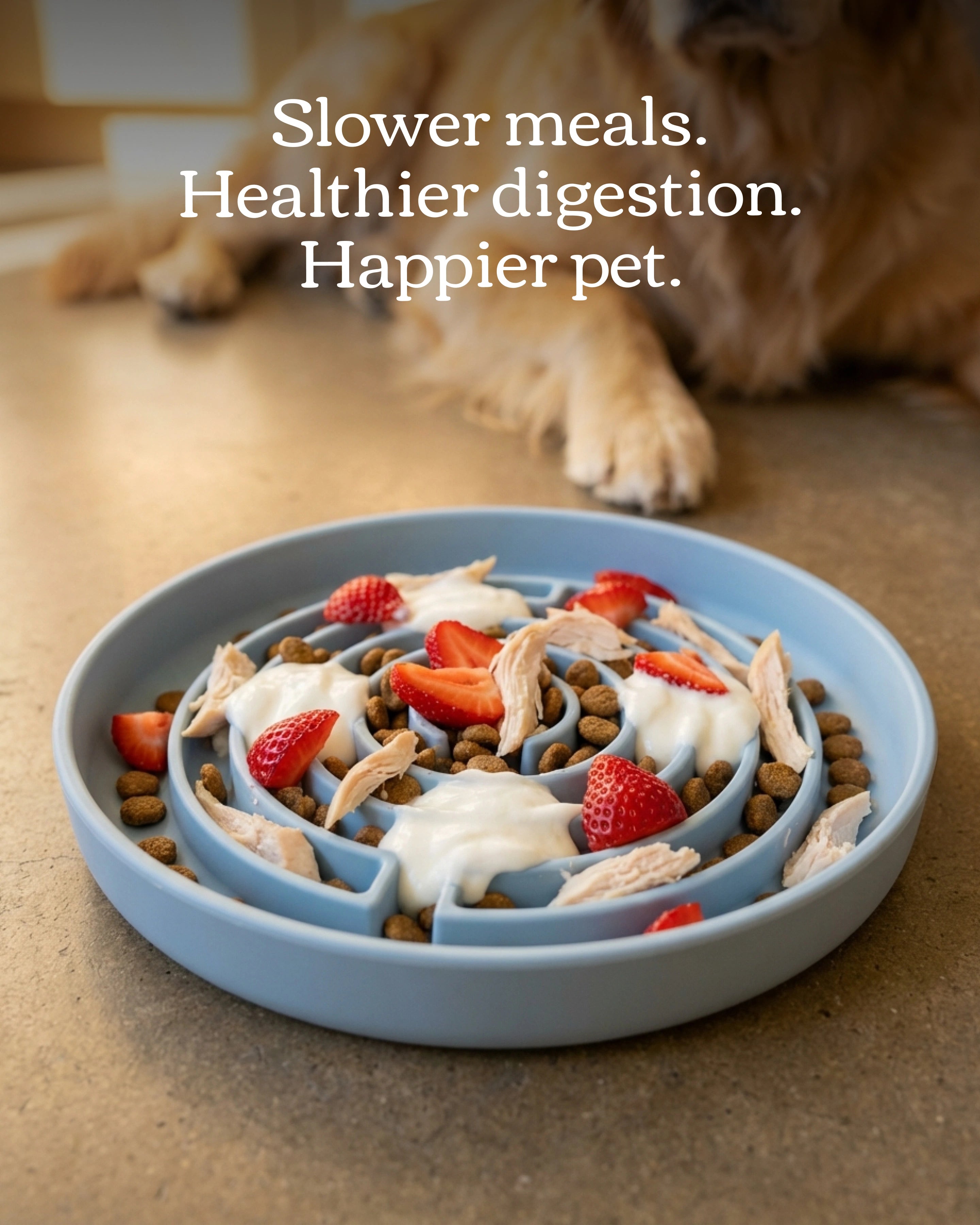 No Rush Bowl - Slow Feeder Bowl for Dogs & Cats