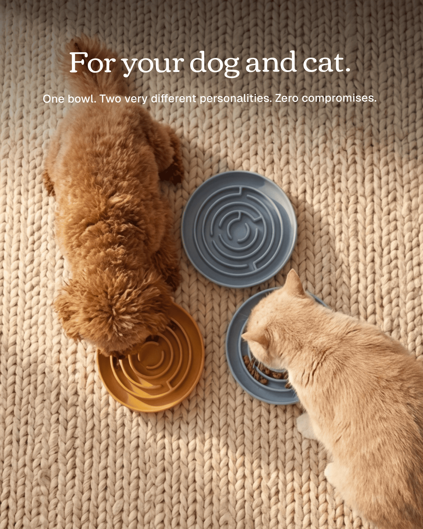 No Rush Bowl - Pet Slow Feeder