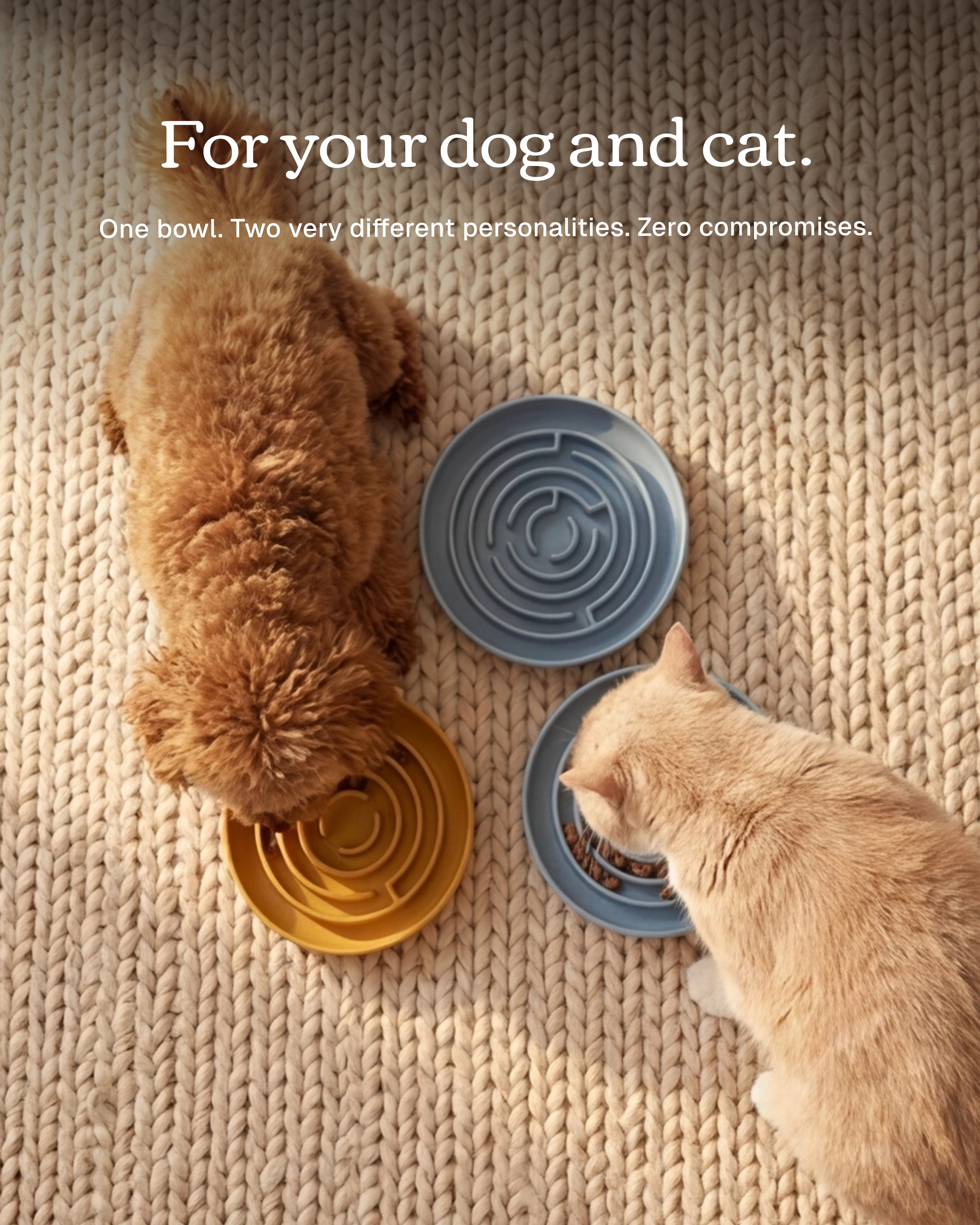 No Rush Bowl - Slow Feeder Bowl for Dogs & Cats