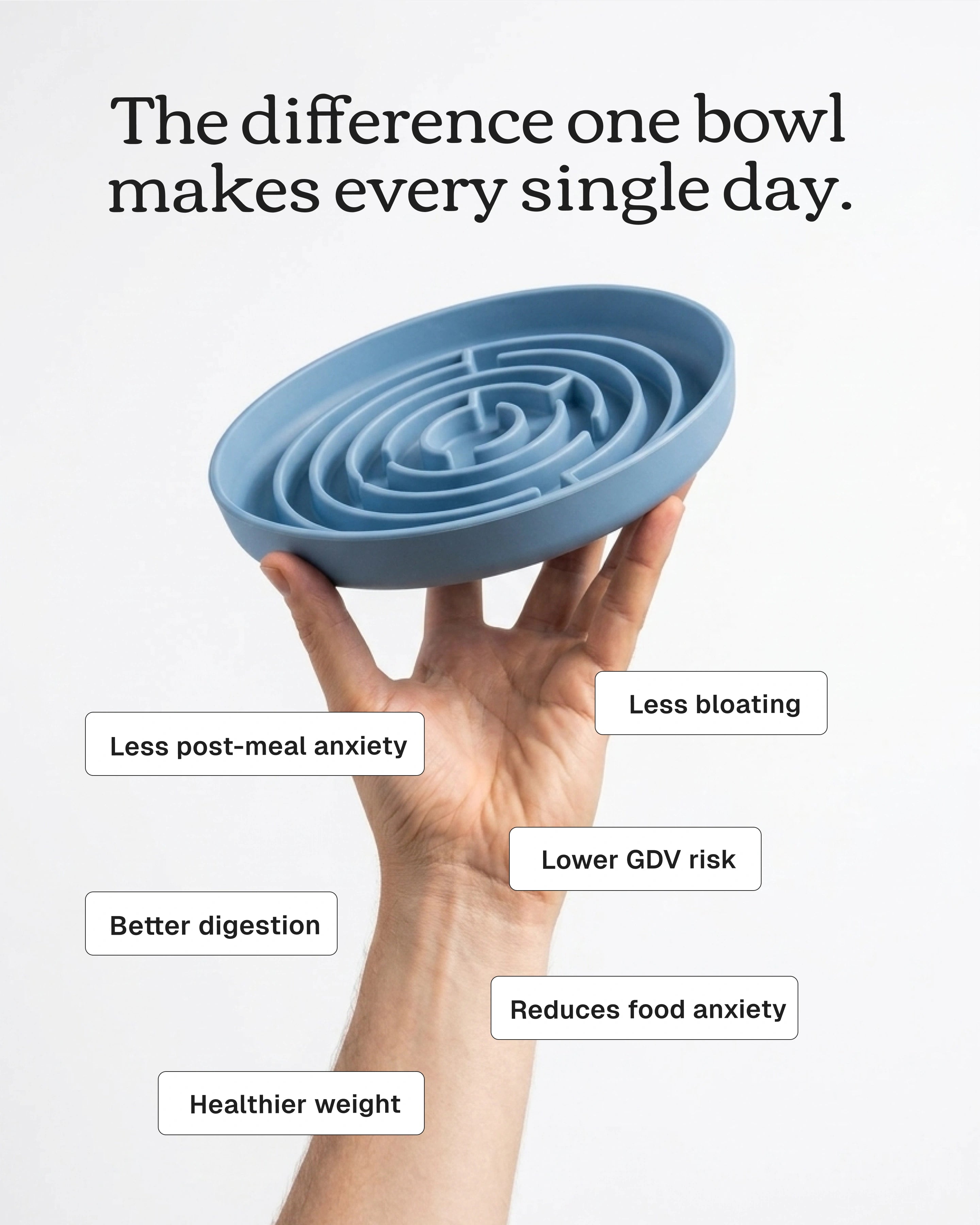 No Rush Bowl - Slow Feeder Bowl for Dogs & Cats