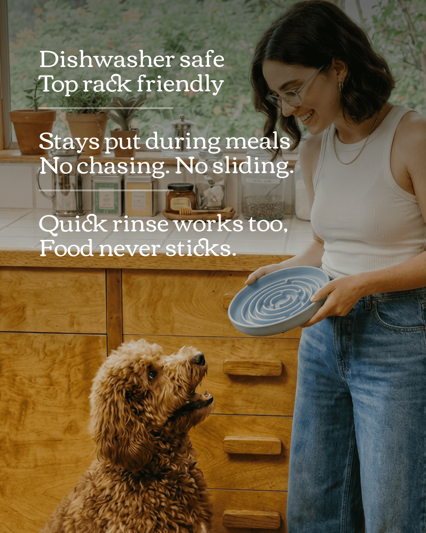No Rush Bowl - Pet Slow Feeder