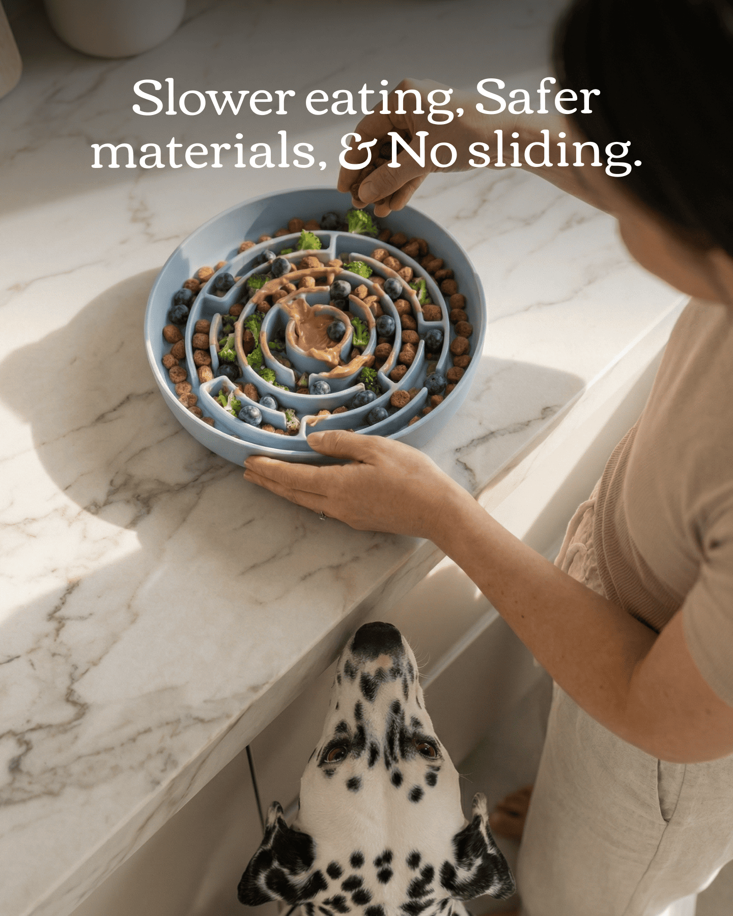 No Rush Bowl - Pet Slow Feeder