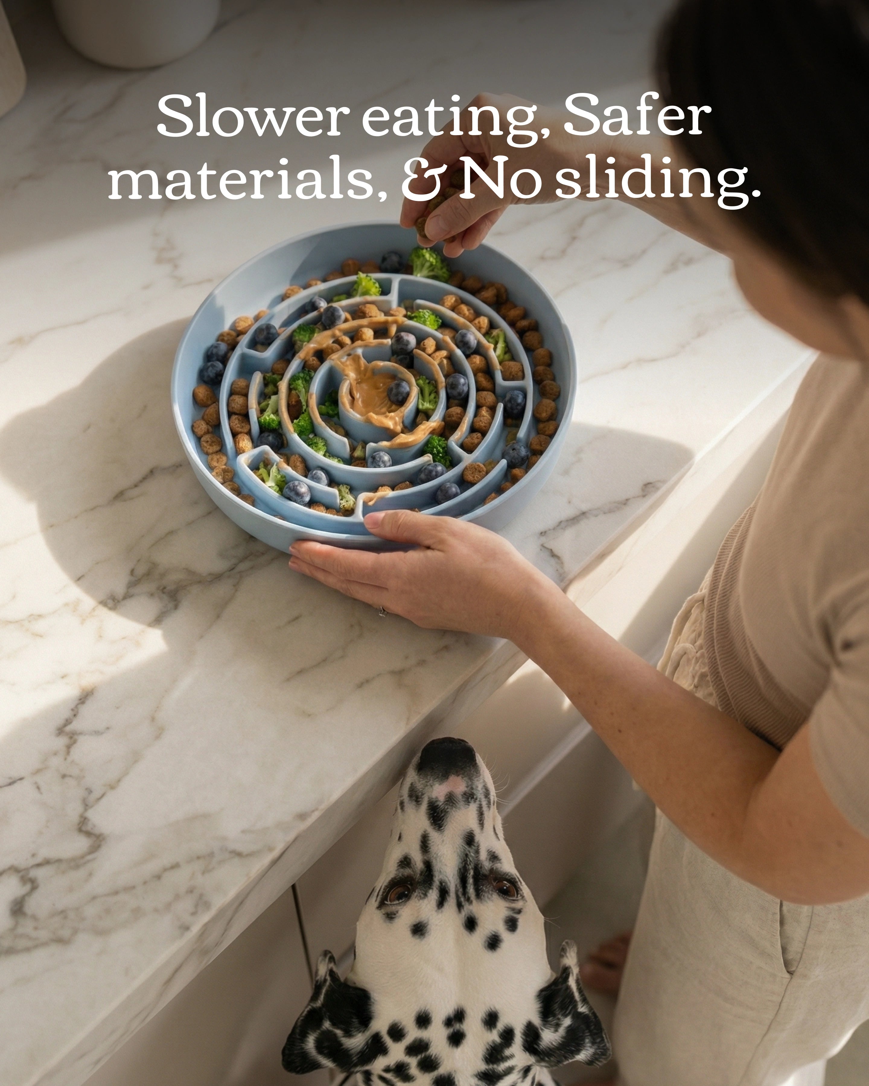 No Rush Bowl - Slow Feeder Bowl for Dogs & Cats