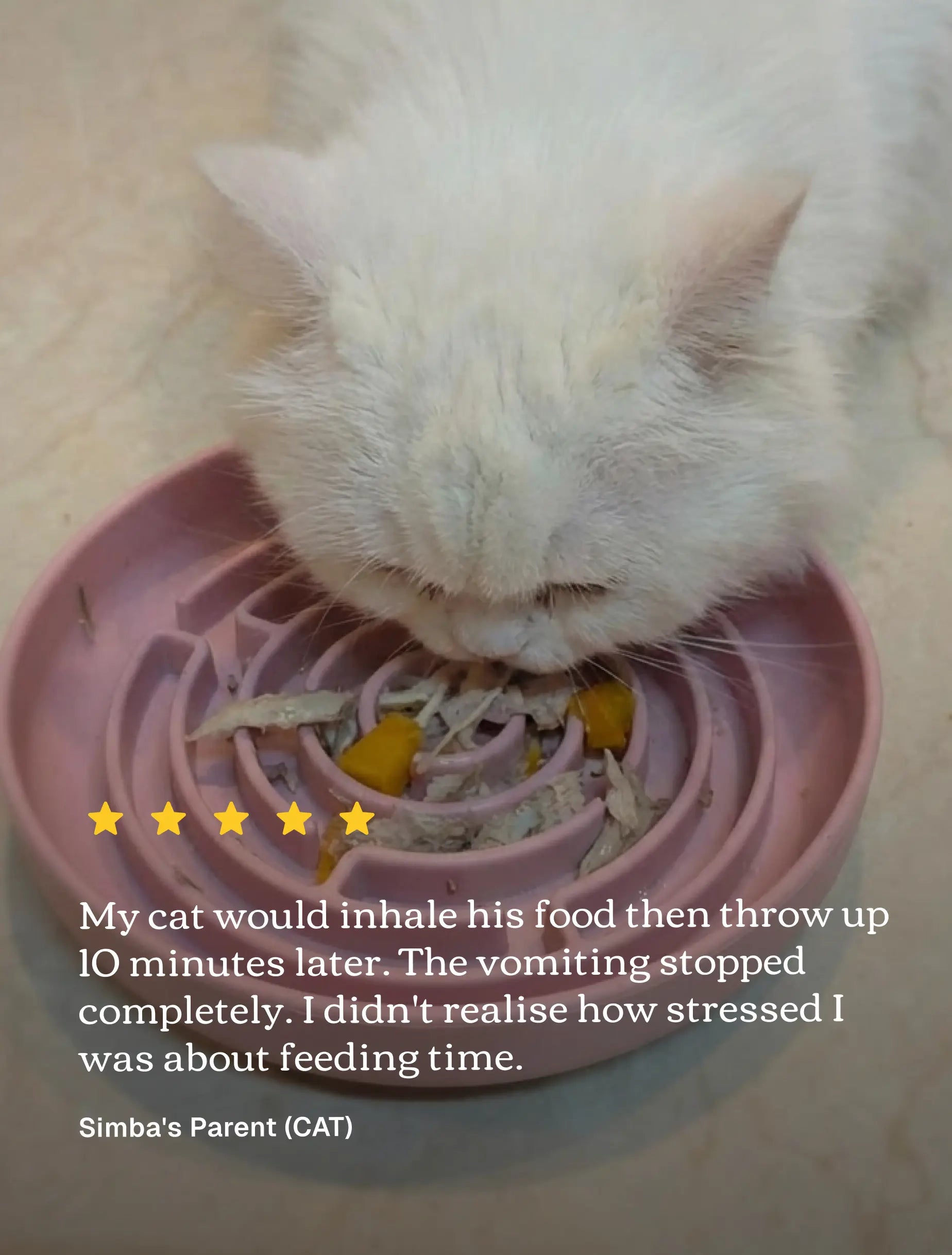White cat eating from a pink pet feeder with text about vomiting issues.