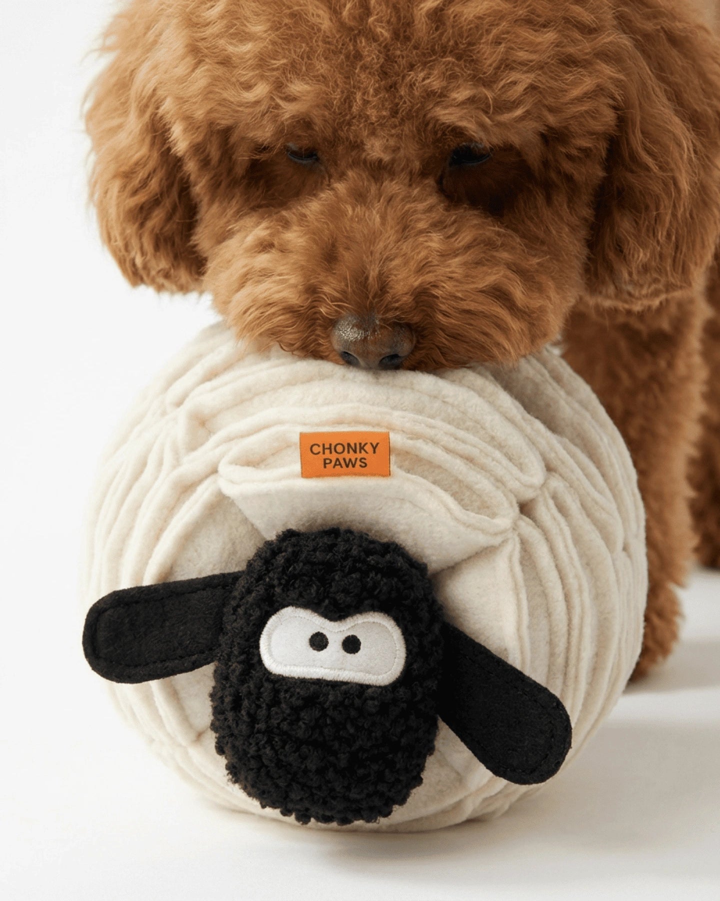 Brown dog playing with a plush sheep toy labeled 'Chonky Paws' on a white background