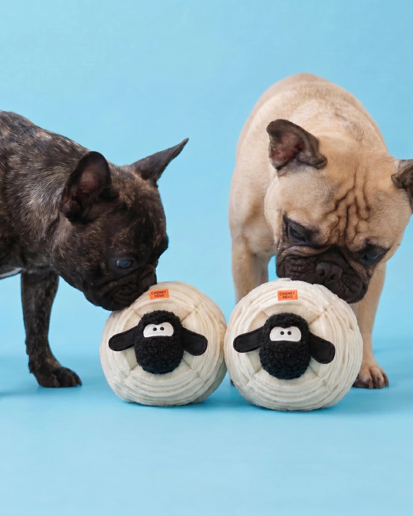 Sir Woolly Chonk - Dog Snuffle Toy