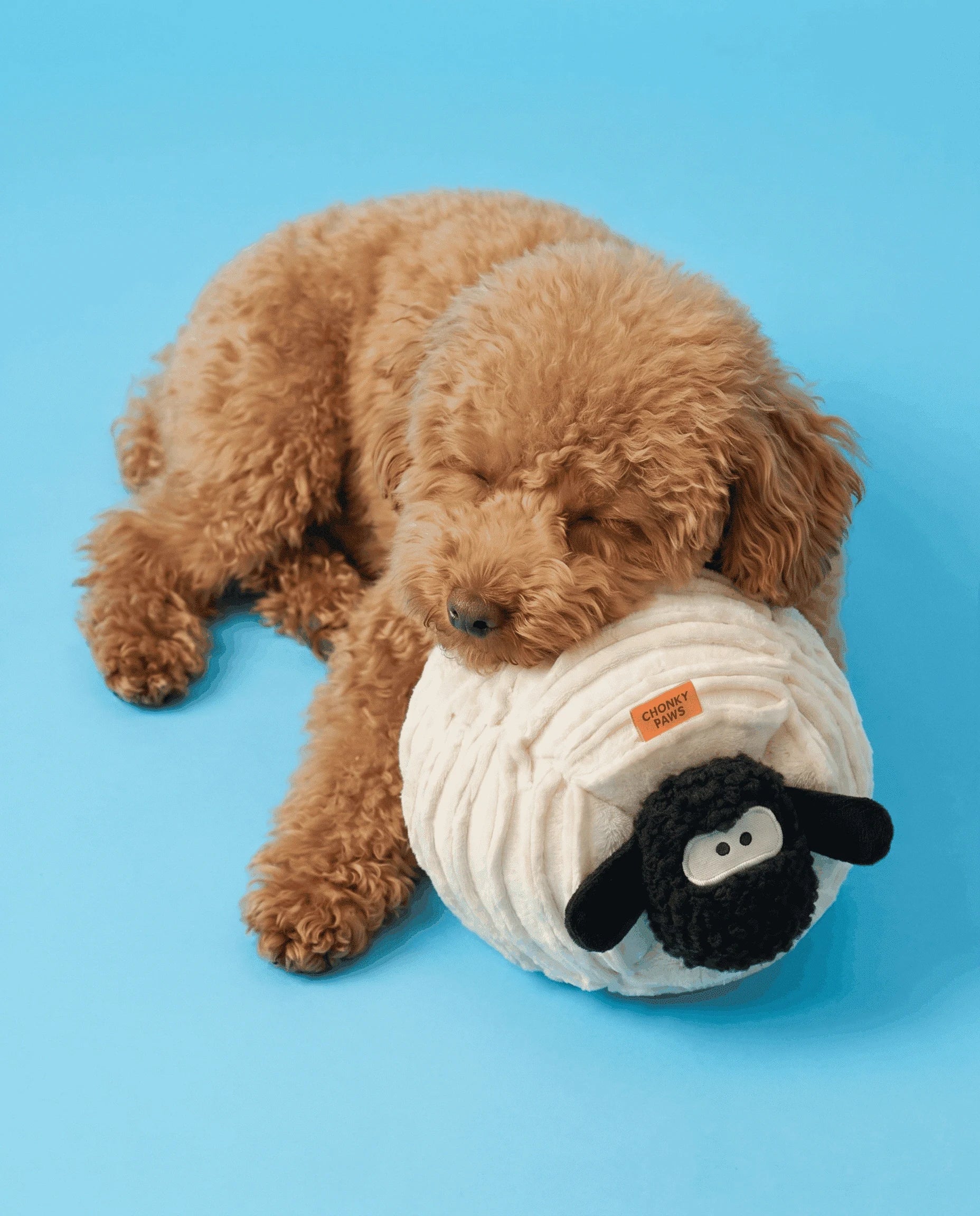 Sir Woolly Chonk - Dog Snuffle Toy