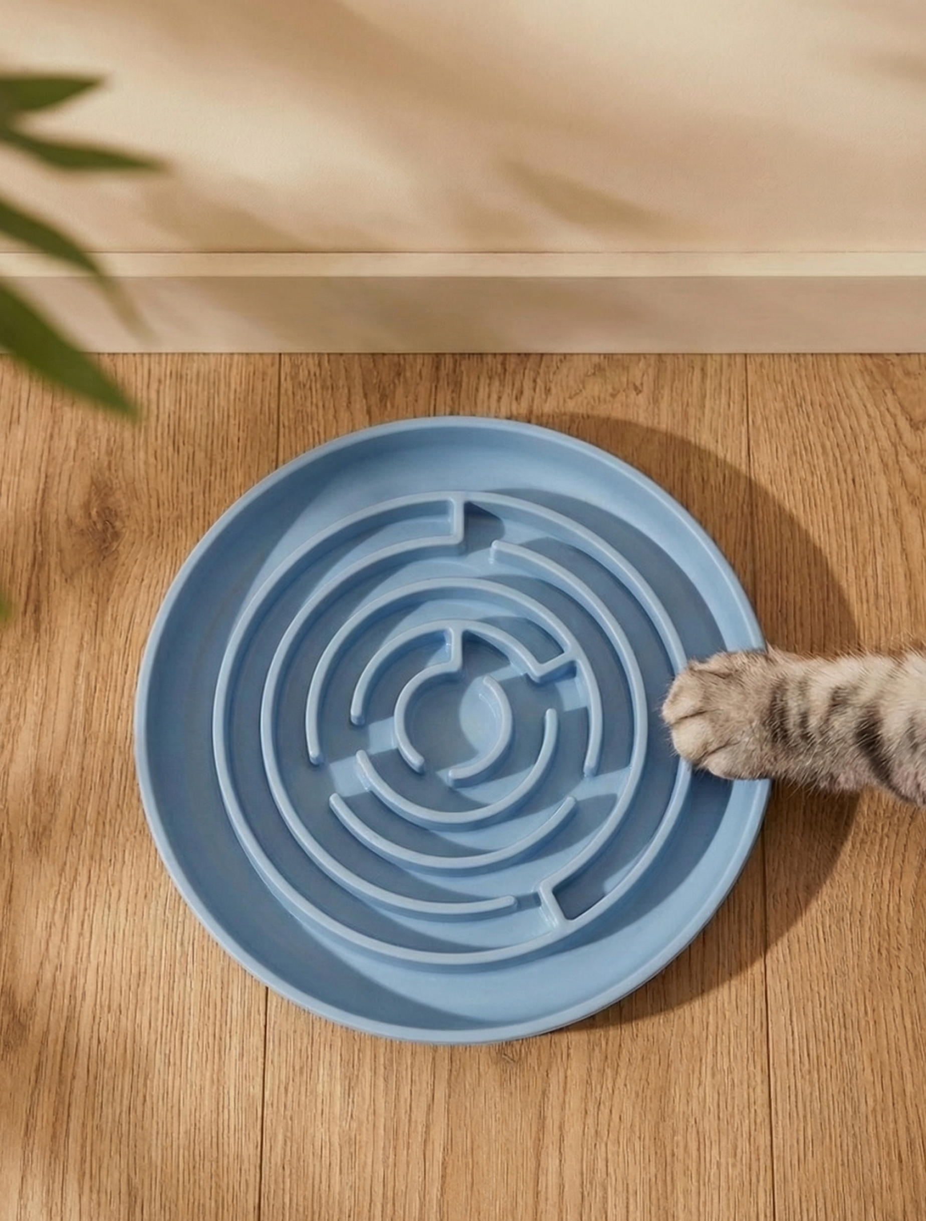 Cat interacting with a blue maze-style slow feeder on a wooden floor.